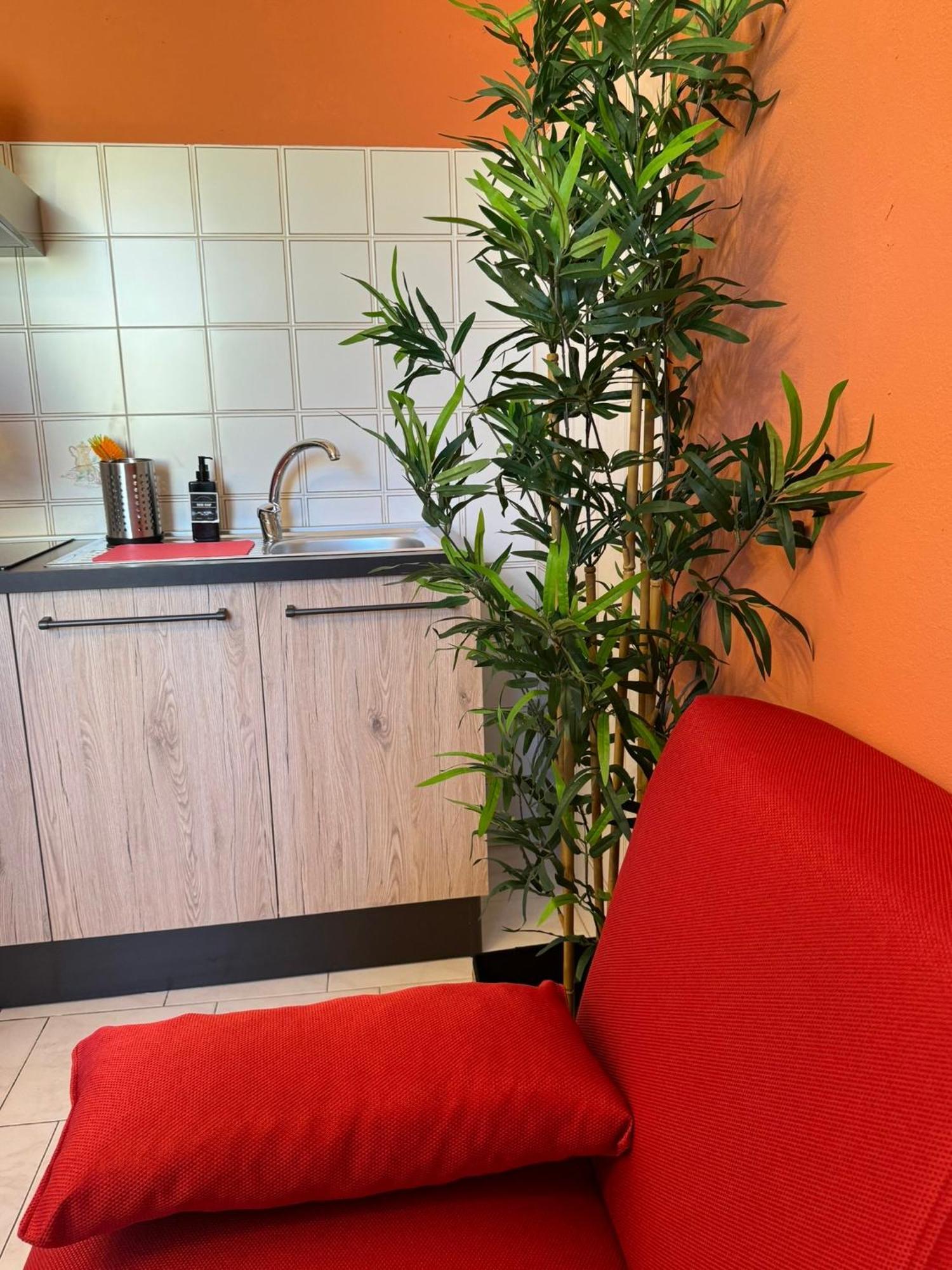 Colben Tuscany Home - Il Mare Dalla Finestra Nell'Atmosfera Tipica Livornese Livorno Dış mekan fotoğraf